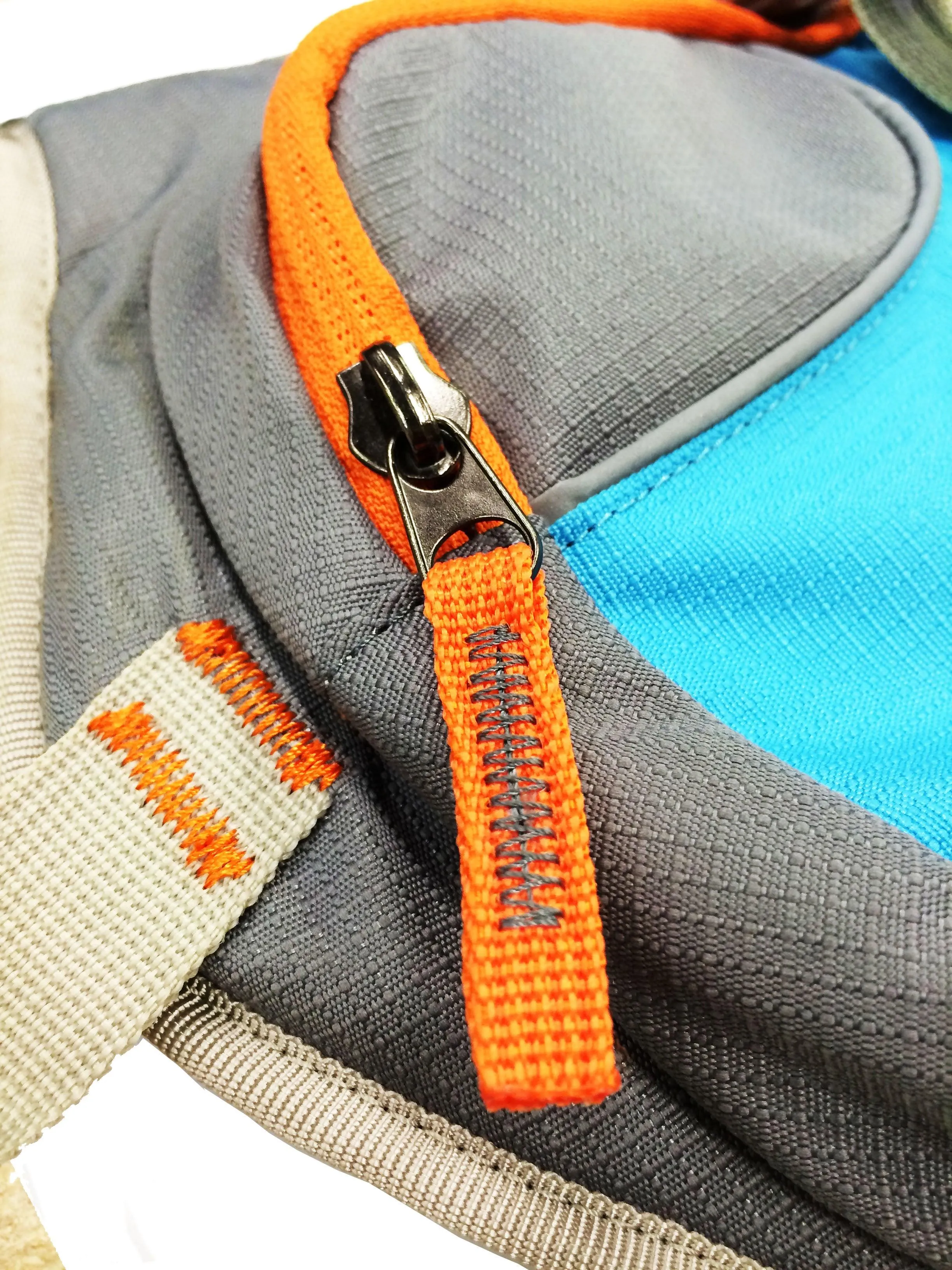 Cesar Millan™ Dog Backpack