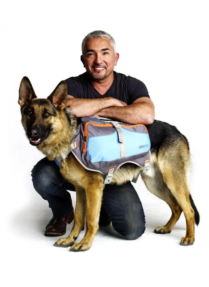 Cesar Millan™ Dog Backpack