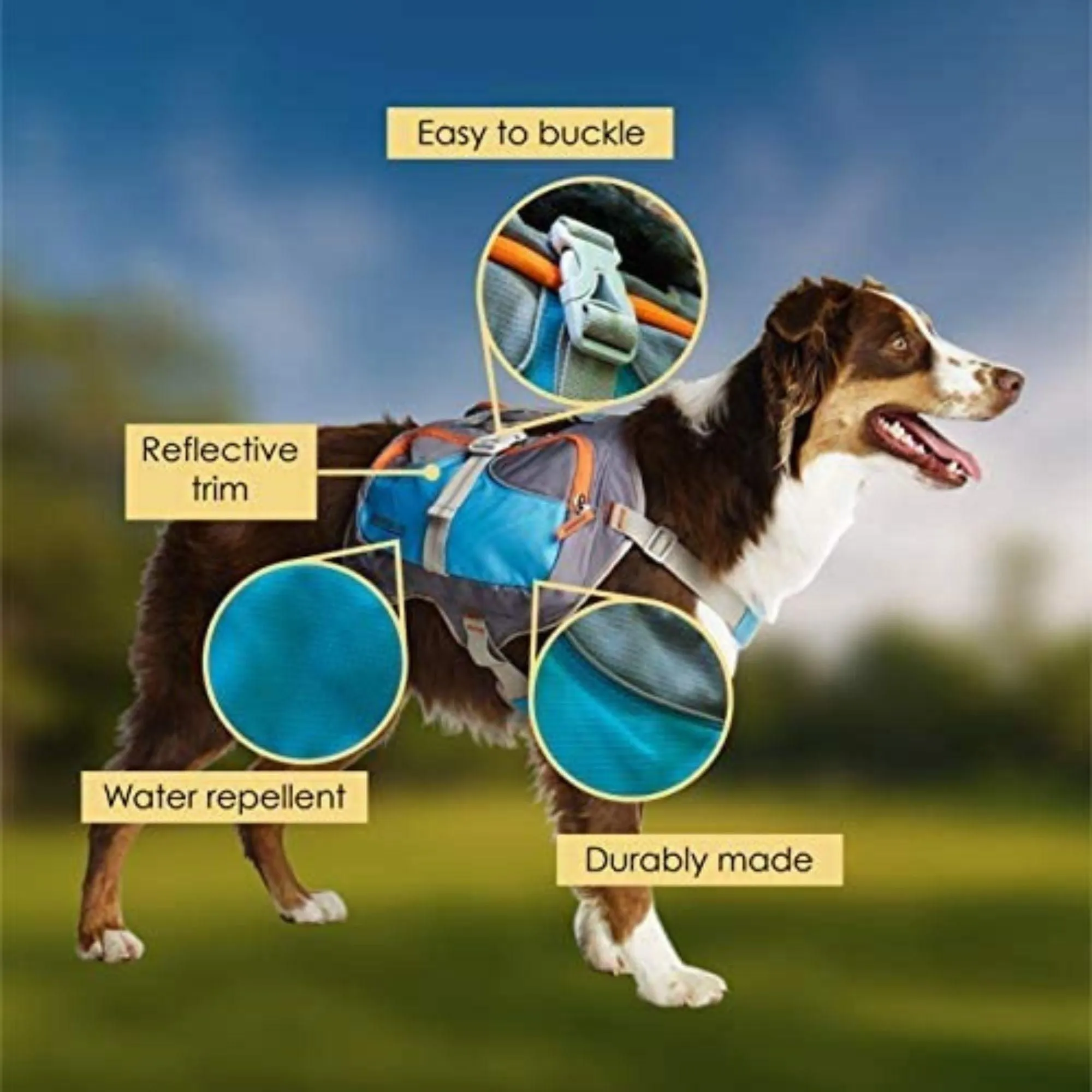 Cesar Millan™ Dog Backpack