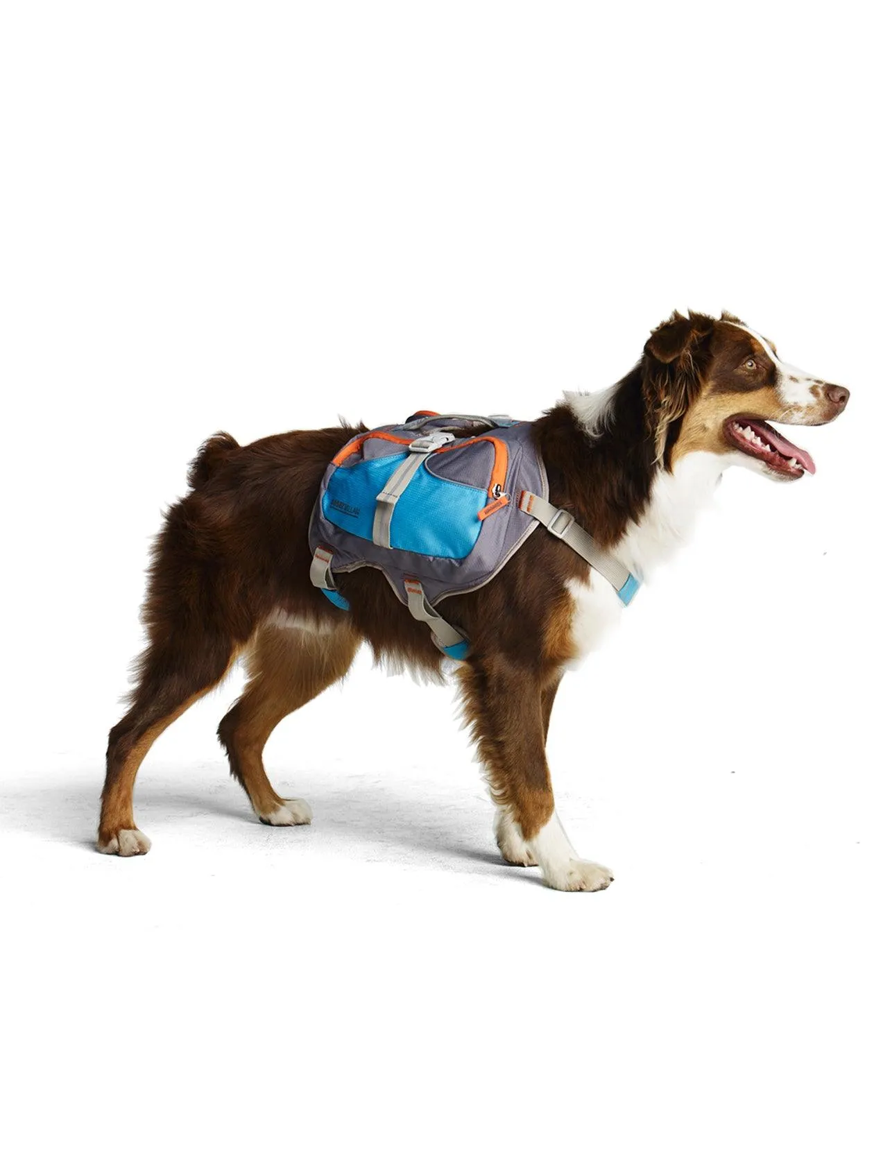 Cesar Millan™ Dog Backpack