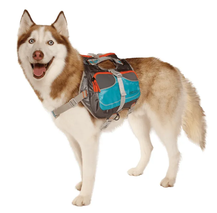 Cesar Millan™ Dog Backpack