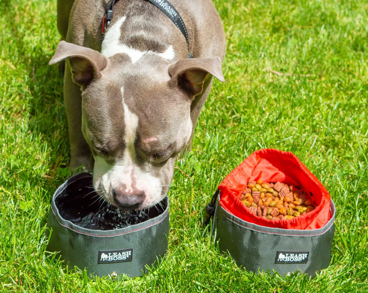 Collapsible Dog Bowl Set - 2x Large Food & Water Bowls for Travel