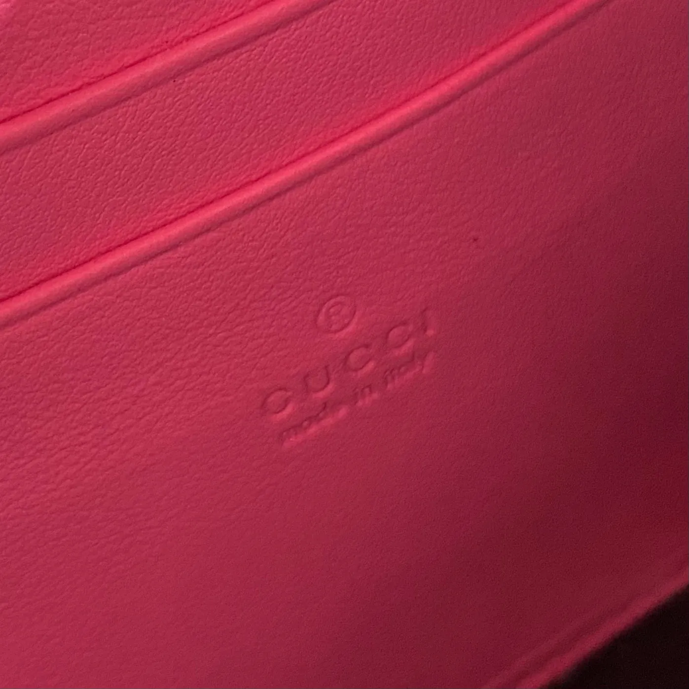 Gucci Monogram Dionysus WOC