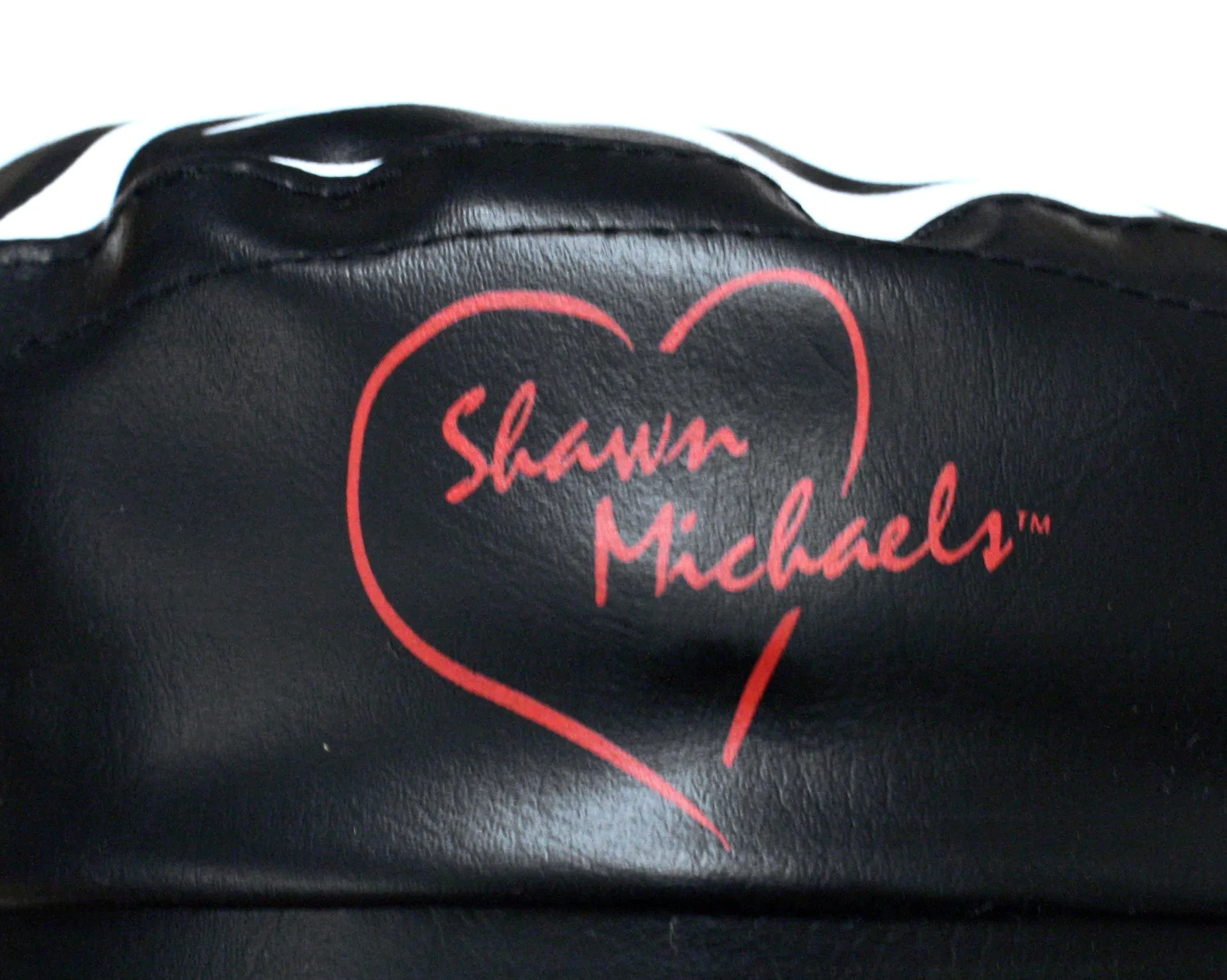 WWF SHAWN MICHAELS BIKER HAT